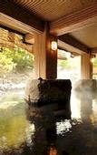 Туры в отель Takaragawa Onsen Osenkaku