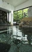 Туры в отель Takaragawa Onsen Osenkaku