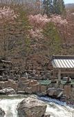 Туры в отель Takaragawa Onsen Osenkaku