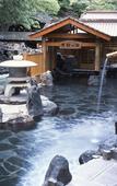 Туры в отель Takaragawa Onsen Osenkaku
