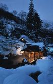 Туры в отель Takaragawa Onsen Osenkaku