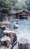 Туры в отель Takaragawa Onsen Osenkaku
