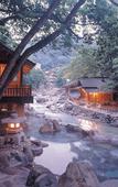 Туры в отель Takaragawa Onsen Osenkaku