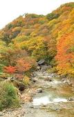 Туры в отель Takaragawa Onsen Osenkaku