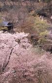 Туры в отель Takaragawa Onsen Osenkaku