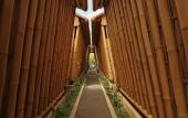 Туры в отель Vamana Resort