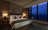 Туры в отель Radisson Blu Plaza Chongqing