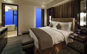 Туры в отель Radisson Blu Plaza Chongqing