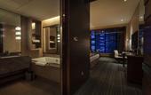 Туры в отель Radisson Blu Plaza Chongqing