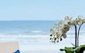 Туры в отель Sheraton Yantai Golden Beach Resort