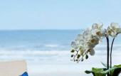 Туры в отель Sheraton Yantai Golden Beach Resort