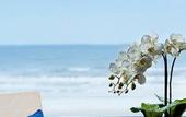 Туры в отель Sheraton Yantai Golden Beach Resort