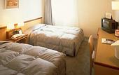 Туры в отель Hotel Global View Niigata
