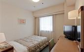 Туры в отель Hotel Global View Niigata