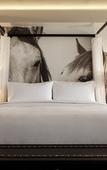 Туры в отель Archer Hotel Austin at the Domain