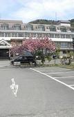 Туры в отель Hotel Koryu