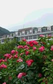 Туры в отель Hotel Koryu