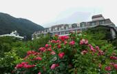 Туры в отель Hotel Koryu