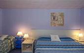 Туры в отель Hotel Rex