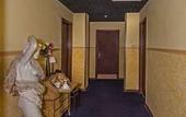 Туры в отель Hotel Rex
