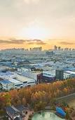 Туры в отель Goldcoast Hotel