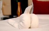 Туры в отель Kamay The Grand Alova