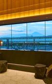 Туры в отель Fujisan Mishima Tokyu Hotel