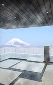 Туры в отель Fujisan Mishima Tokyu Hotel
