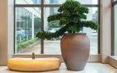 Туры в отель JI Hotel (Liuzhou Liutai Road Liugong)