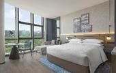 Туры в отель Four Points by Sheraton Urumqi