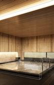 Туры в отель Novotel Nara