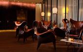 Туры в отель Hotel 57