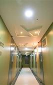 Туры в отель Star Guest House