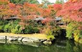 Туры в отель The Prince Kyoto Takaragaike, Autograph Collection
