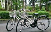 Туры в отель The Prince Kyoto Takaragaike, Autograph Collection