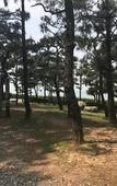 Туры в отель Sunset Hotel