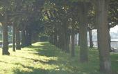 Туры в отель Garner Hotel Cologne Porz - Airport by IHG