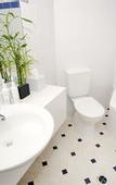 Туры в отель JetPark Hotel Rotorua