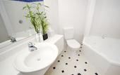 Туры в отель JetPark Hotel Rotorua