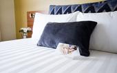 Туры в отель JetPark Hotel Rotorua