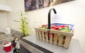 Туры в отель JetPark Hotel Rotorua