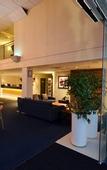 Туры в отель JetPark Hotel Rotorua