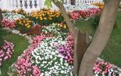 Туры в отель La Medusa Dimora di Charme