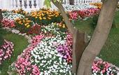 Туры в отель La Medusa Dimora di Charme