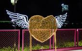 Туры в отель Broadway Hotel Macau