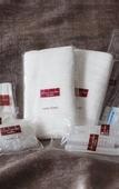 Туры в отель Mitsui Garden Hotel Nagoya Premier