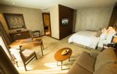 Туры в отель The Excelton Hotel