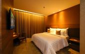 Туры в отель The Excelton Hotel