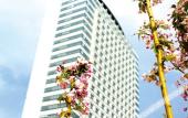 Туры в отель King Lion International Hotel