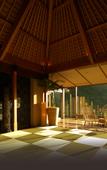 Туры в отель Hakone-Ginyu
